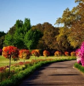 Scenic park pathway with colorful flowering trees and bushes.